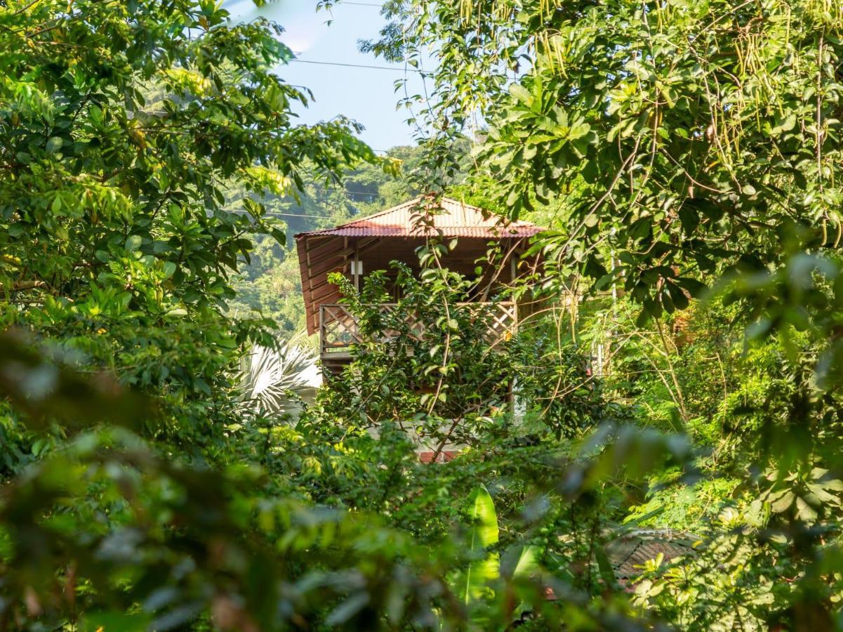 Deep Forest Posadas Ecoturisticas El Zaino Buitenkant foto